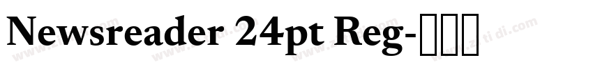 Newsreader 24pt Reg字体转换 Newsreader 24pt Reg字体转换